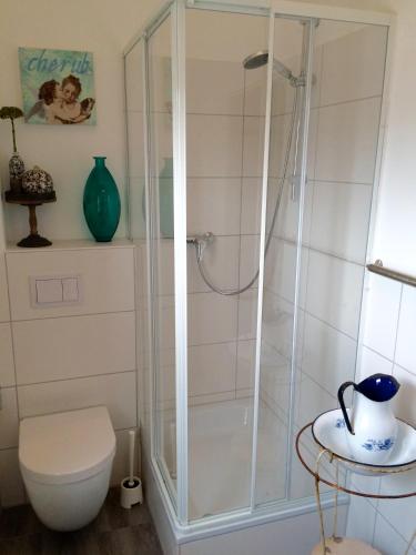 a bathroom with a shower and a toilet at Zweitheimat in Kalkar