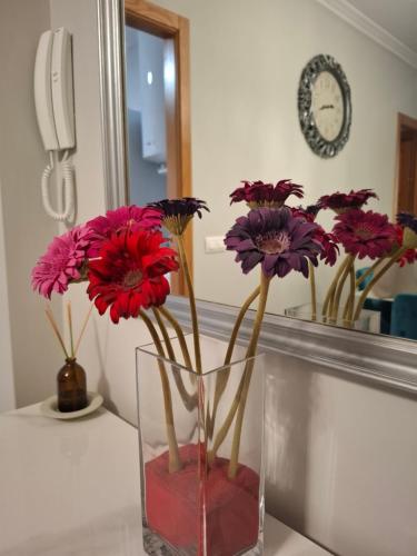 Bonito Apartamento Lua