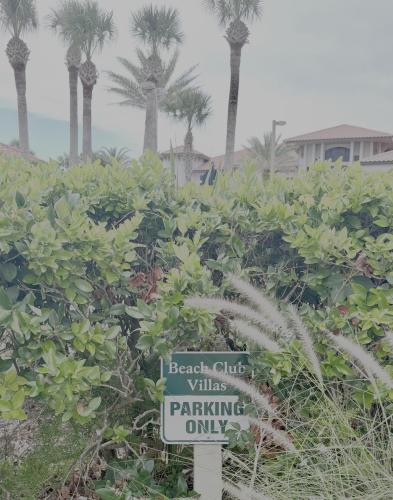 a street sign in front of bushes with palm trees at Beach Retreat Just Renovated in Sawgrass