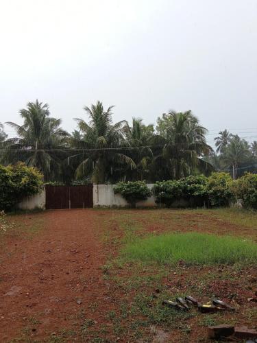 un campo de tierra con palmeras en el fondo en Narpavi House, en Pondicherry