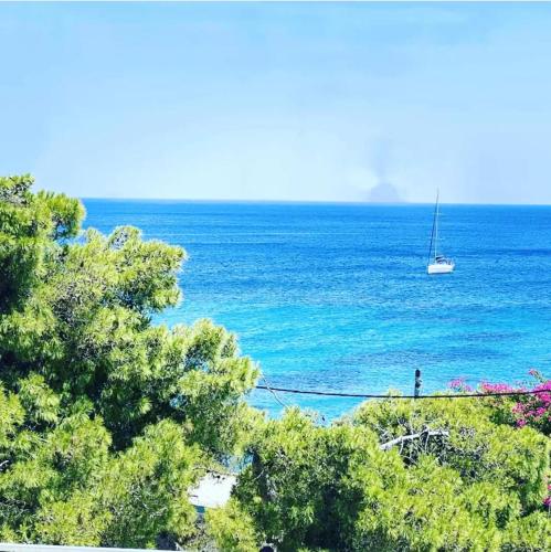 Φωτογραφία από το άλμπουμ του Hotel Liberty 1 στην Αγία Μαρίνα Αίγινας