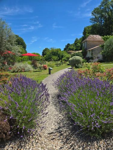 a path through a garden with purple flowers at Château de Courtebotte in Saint-Jean-de-Blaignac