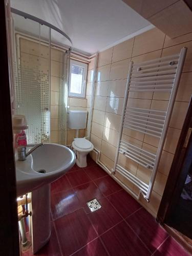 a bathroom with a toilet and a sink and a shower at Cabana Bianca in Arieşeni
