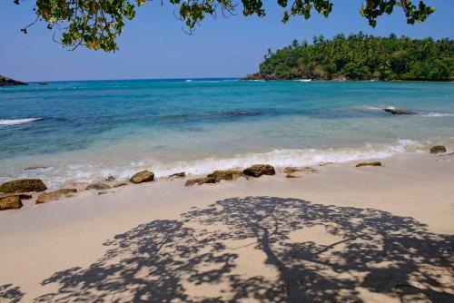 a shadow of a tree on the beach at Blue Heights in Hiriketiya