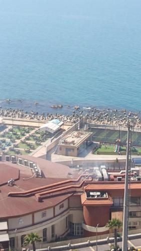 an aerial view of a city and the ocean at Time Off in Alexandria