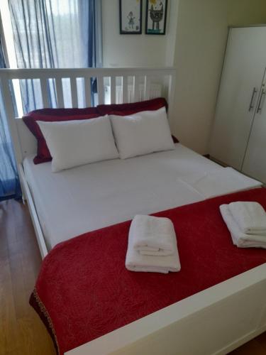 Anesis Premium Living