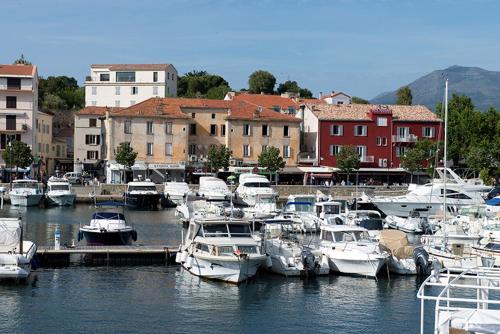 a bunch of boats are docked in a harbor at Hotel Restaurant L'Europe in Saint-Florent