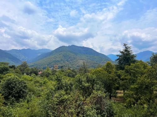 a view of a mountain range with forests and trees at The Luna in Bīr