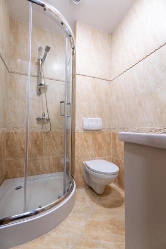 a bathroom with a shower and a toilet at Casa TT House in Sfântu-Gheorghe