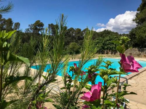 vistas a una piscina con flores en Villa familiale près de Laure-Minervois avec piscine, en Laure-Minervois
