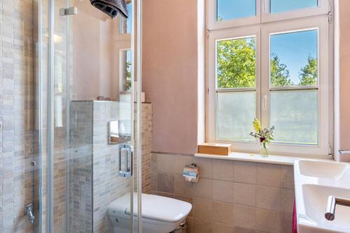 a bathroom with a toilet and a sink and a window at Der Flusshof, Ferienhaus in Werben