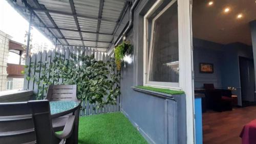 a patio with a green plant on the side of a house at Haz Boutique Hotel Baku in Baku