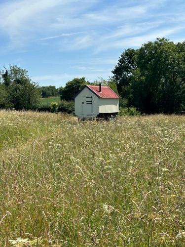 a smallshed in the middle of a field of grass at The Shepherds Hut in Hindringham