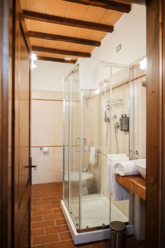 a bathroom with a glass shower and a sink at Terre di GIORGIO Agriturismo Villa la Palazzetta in Castiglione dʼOrcia