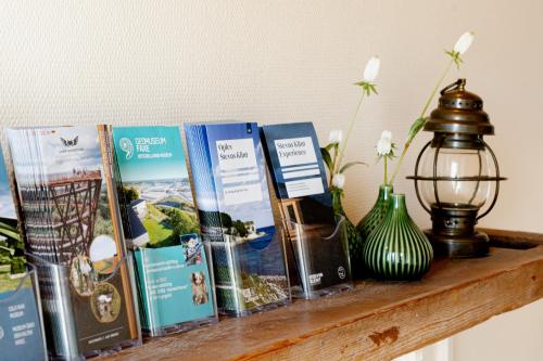 a shelf with books and a lamp and flowers at Akaciegaarden Bed & Breakfast in Hårlev