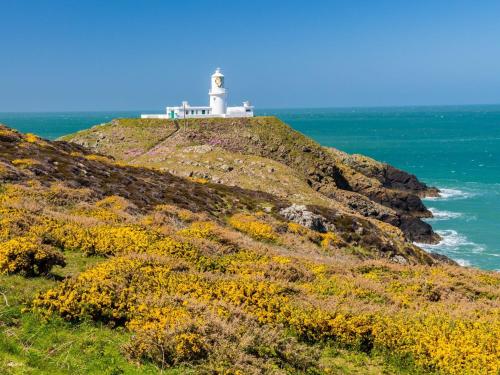 a lighthouse on top of a hill with flowers at 1 Bed in Goodwick FB158 in Goodwick