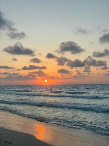 swan lake north coast