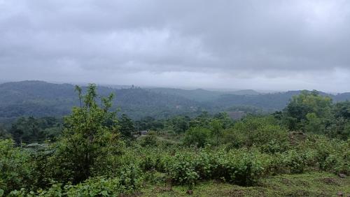 a view of a valley with trees and mountains at Saketa Homestay in Linganamakki