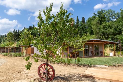 a tree in front of a house at Palagina Il Borgo Agricolo in Figline Valdarno