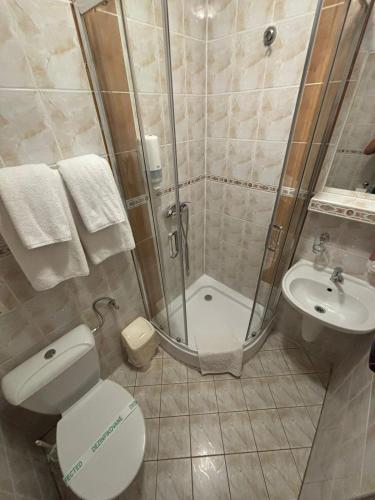 a bathroom with a shower and a toilet and a sink at Penzion Aqua in Martinske Hole