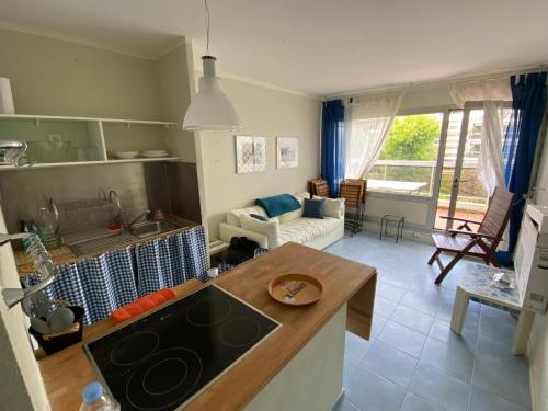 a kitchen and living room with a sink and a couch at Le lys d'or Piscine Plage Terrasse Wiffi in Juan-les-Pins