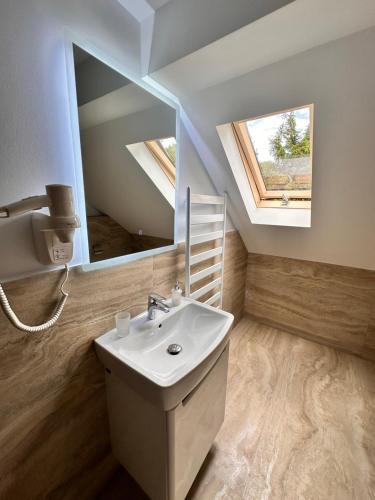 a bathroom with a sink and a mirror at Pensiunea Antonio Bran in Bran