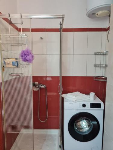 een wasmachine in een badkamer met een douche bij Casa Mare in Durrës