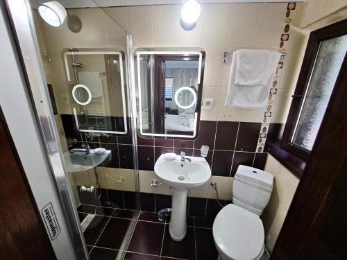 a bathroom with a sink and a toilet and mirrors at Moara Viselor in Vaideeni