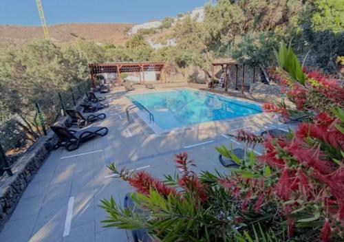 een zwembad in een tuin met planten bij Casa El Alpendre de Temisas - Recién renovada in Temisas