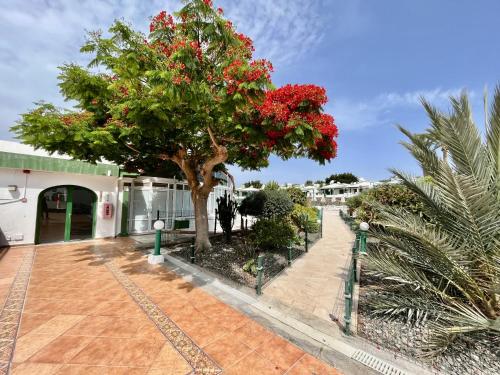 Bungalow en complejo tranquilo en Maspalomas