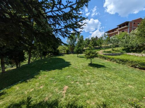 a park with a tree in the grass at Green Oasis Villa in Voskopojë