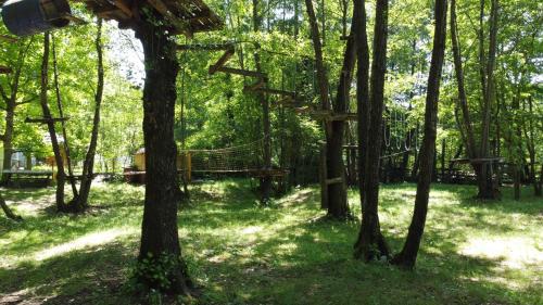 a tree house in the middle of the forest at Moara Viselor in Vaideeni