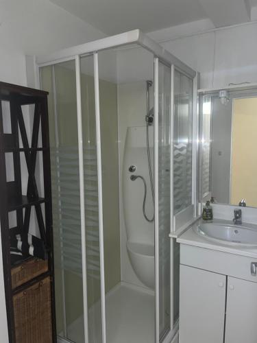 a bathroom with a shower and a toilet and a sink at La belle époque in Bourg-en-Bresse