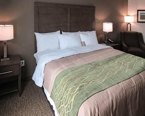 Un pat sau paturi într-o cameră la Comfort Inn & Suites Snyder