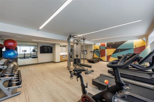 a gym with cardio equipment in a room at Hyatt Centric Chicago Ohare in Rosemont