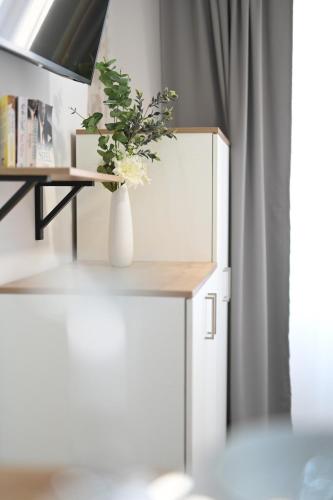 Studio Apartment the Old town, great location
