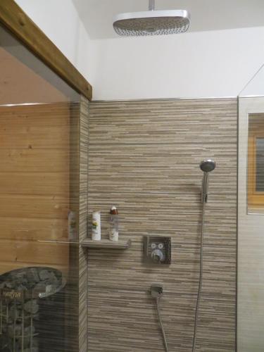 a shower in a bathroom with a shower at Bergromantik Ferienwohnung Nesterl mit eigener Sauna und Bergblick in Marktschellenberg