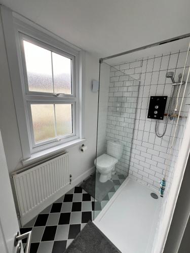 a bathroom with a shower with a toilet and a window at 2 bedroom cottage in Kingsbridge in Kingsbridge