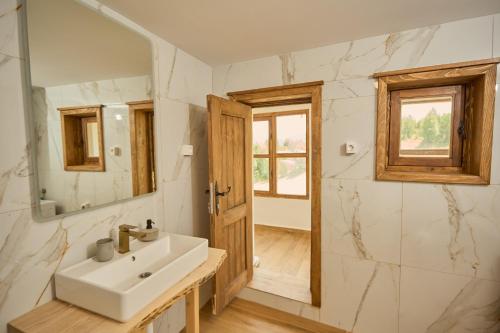 a bathroom with a sink and a mirror at Arhetip, Kikina Villa in Njegovuđa