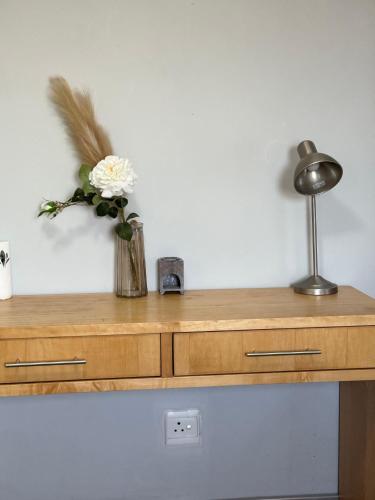 a desk with a vase of flowers and a lamp at Ameib Nest in Windhoek