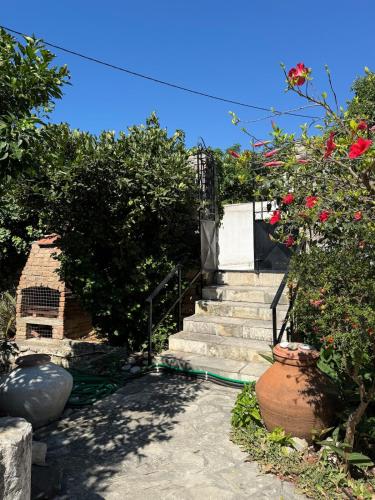 a set of stairs with flowers on the side at Agora Serenity Retreat in Pythagoreio