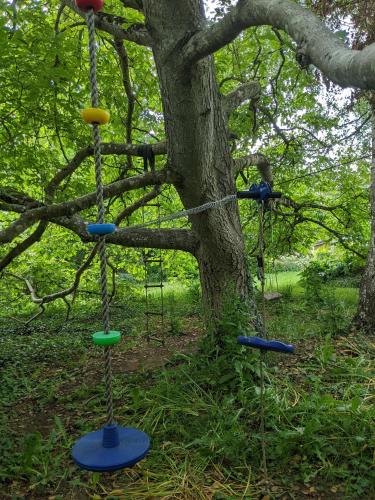 two swings tied to a tree in a park at Le Gîte du Bocage in Céaucé
