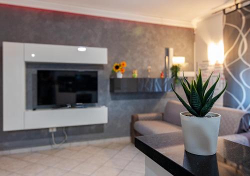 Miriam House Florence - full apartment - relax & comfort photo 17