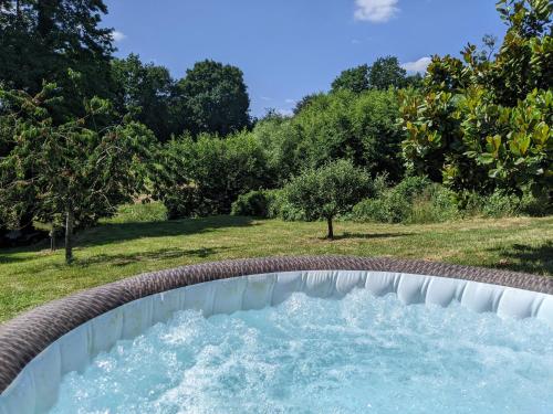a water slide in a field with trees at Le Gîte du Bocage in Céaucé