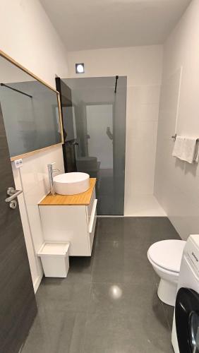 Koupelna v ubytování Apartment Casa Graziano Pula