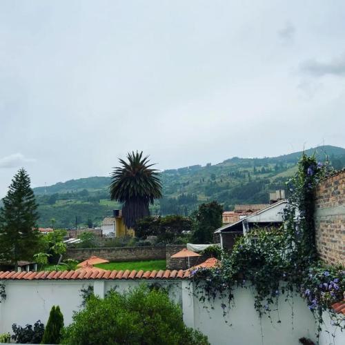 a view of a city with a palm tree in the background at Hotel San Gabriel Tibasosa in Tibasosa