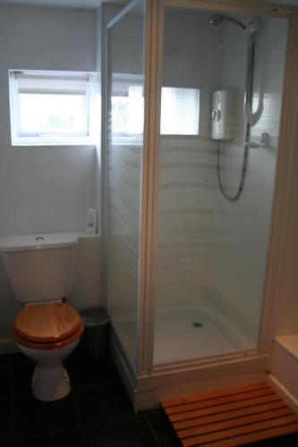 a bathroom with a shower with a toilet and a sink at Stylish 4Bed Cottage with parking near town and beach in Lyme Regis