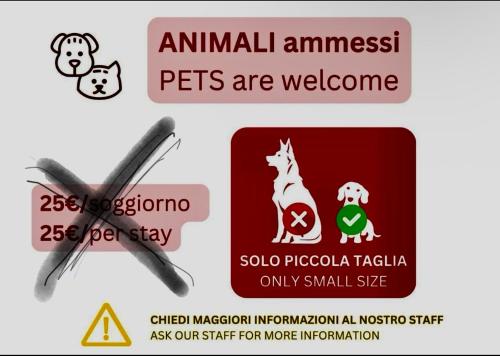 a sign that saysanimalanimals pets are welcome at Emily House in Fier