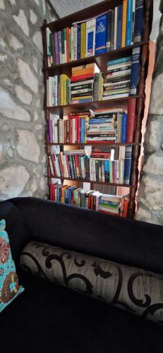 a book shelf filled with books next to a couch at Beach House Bella Vista apartments in Trogir