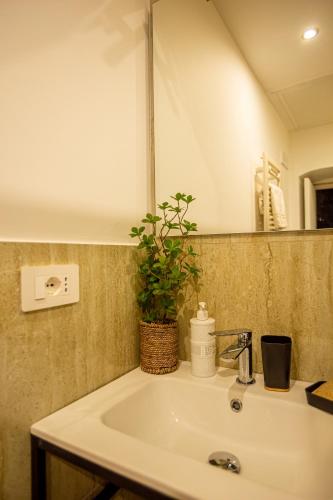 Suite 175にあるバスルーム